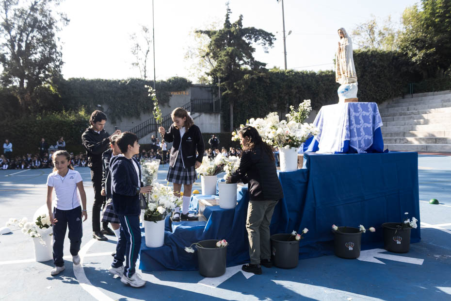 Ir a la Siguiente Foto