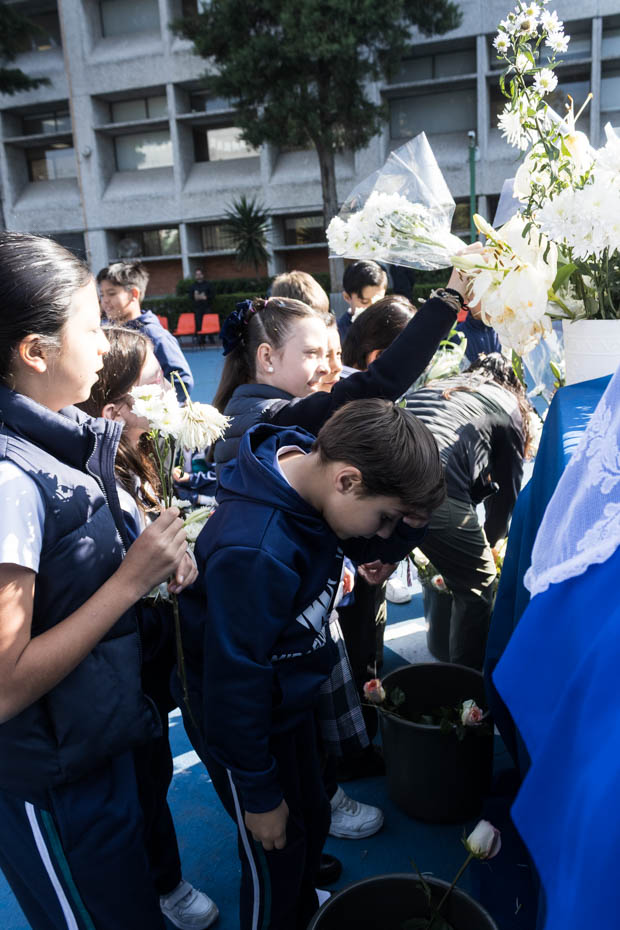 Ir a la Siguiente Foto