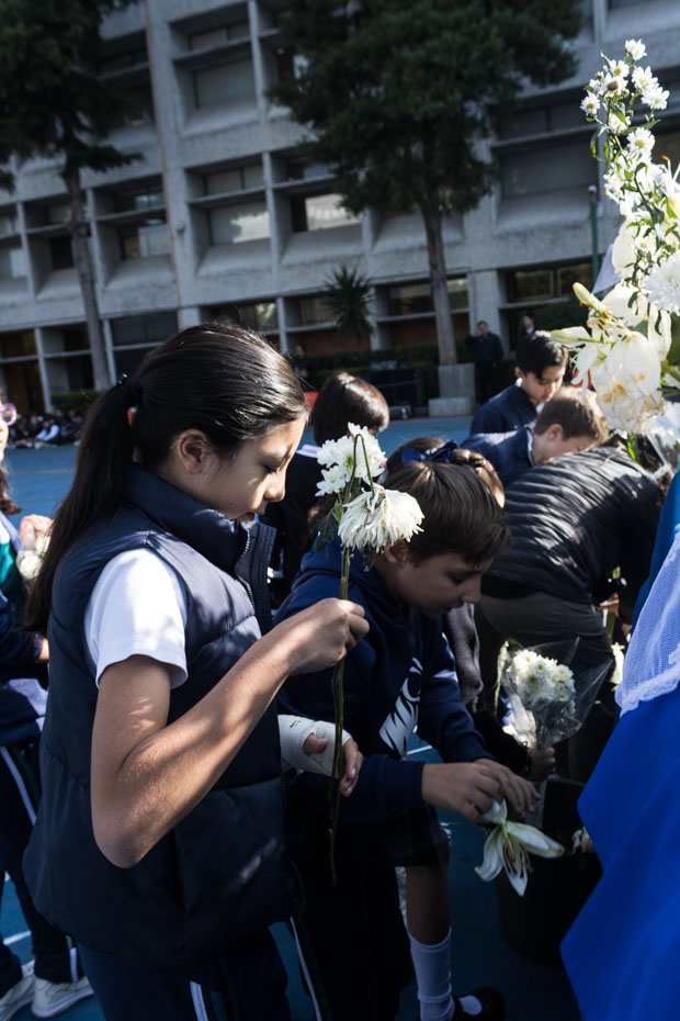 Ir a la Siguiente Foto