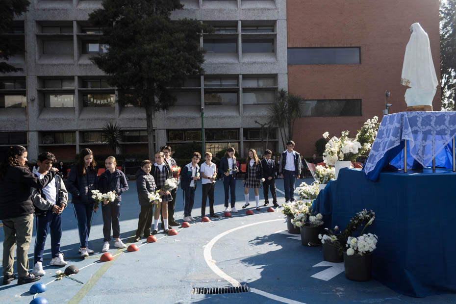 Ir a la Siguiente Foto