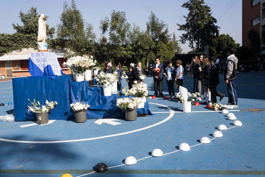 Ir a la Siguiente Foto