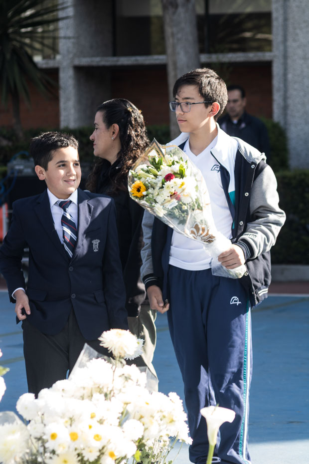 Ir a la Siguiente Foto