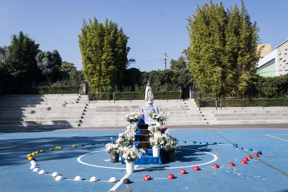 Ir a la Siguiente Foto