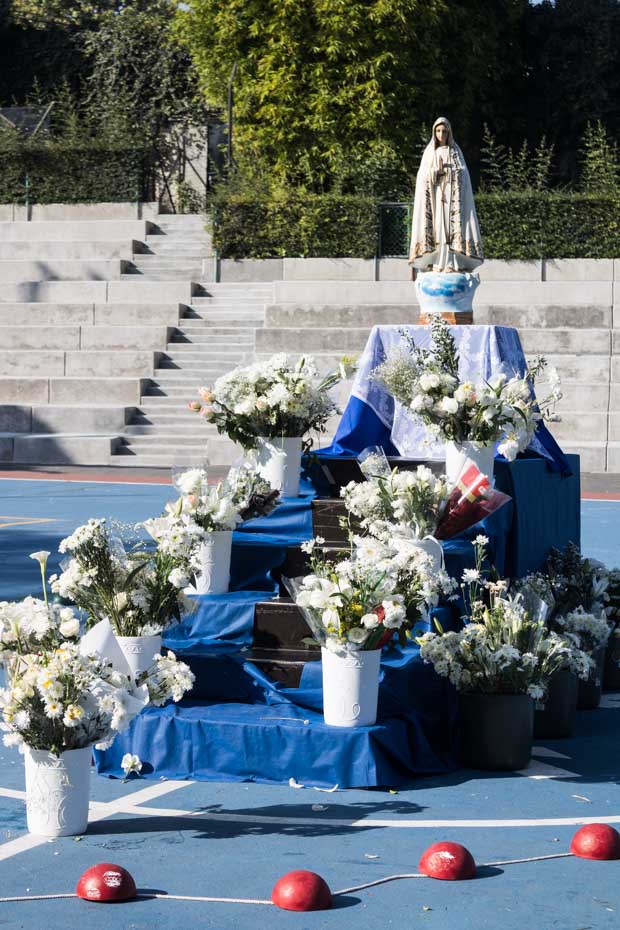 Ir a la Siguiente Foto