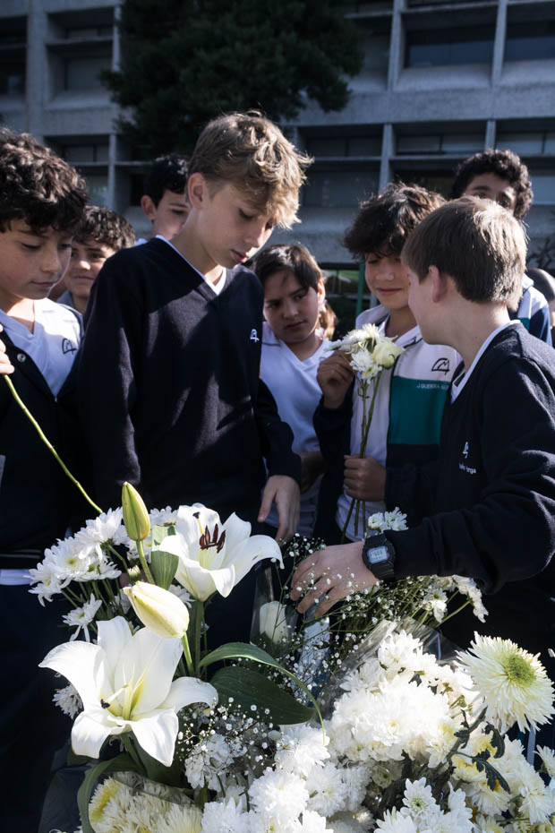 Ir a la Siguiente Foto