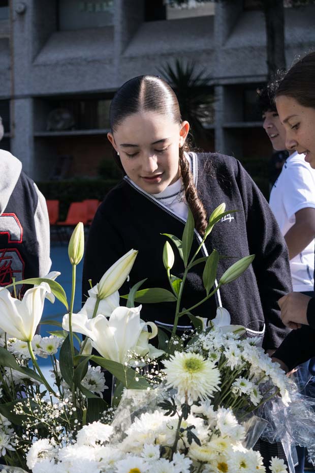 Ir a la Siguiente Foto