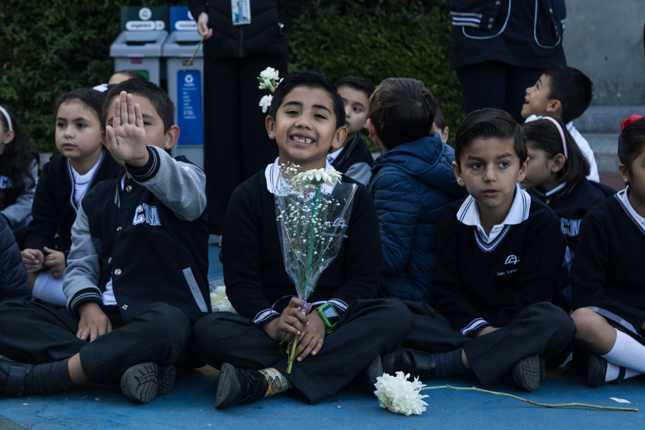 Ir a la Siguiente Foto