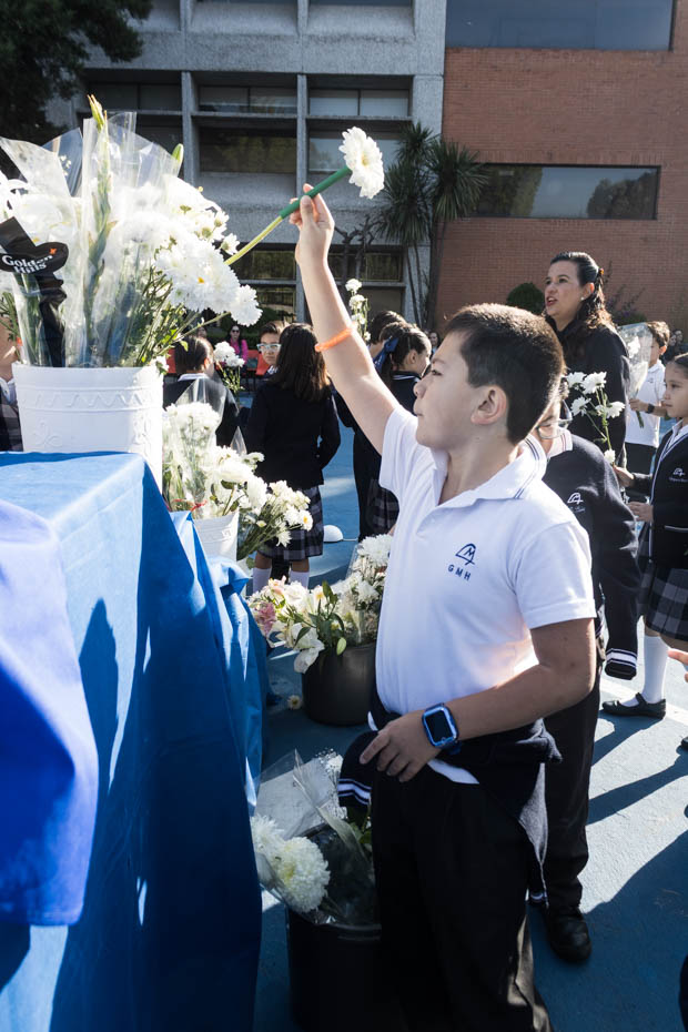 Ir a la Siguiente Foto