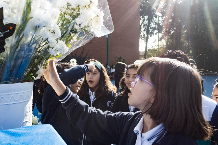 Ir a la Siguiente Foto