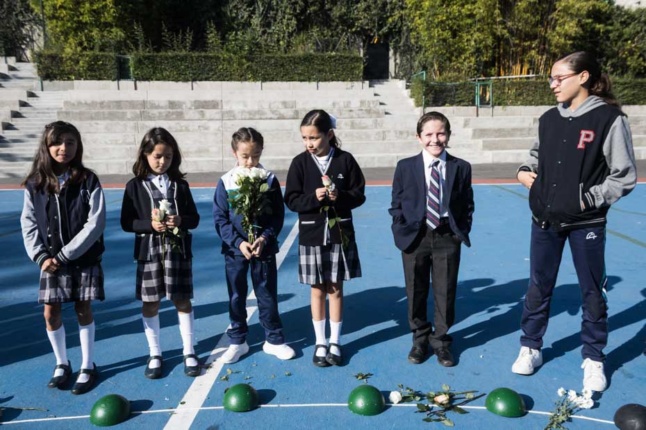 Ir a la Siguiente Foto