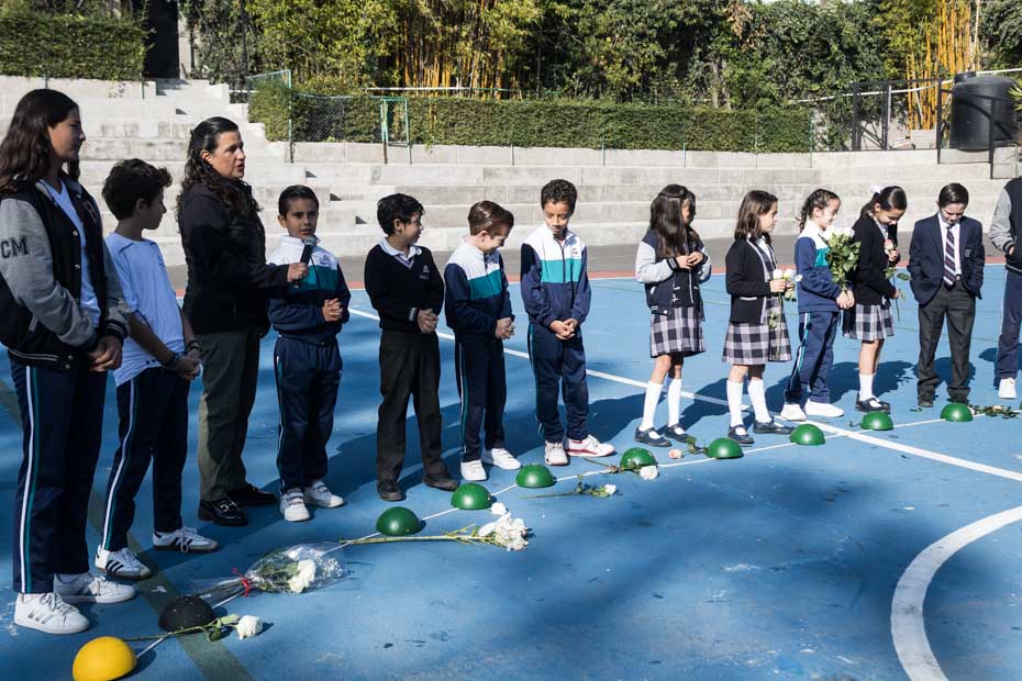 Ir a la Siguiente Foto