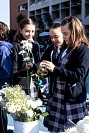 30102025rosario_primaria2025164.jpg