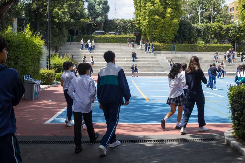 Ir a la Siguiente Foto