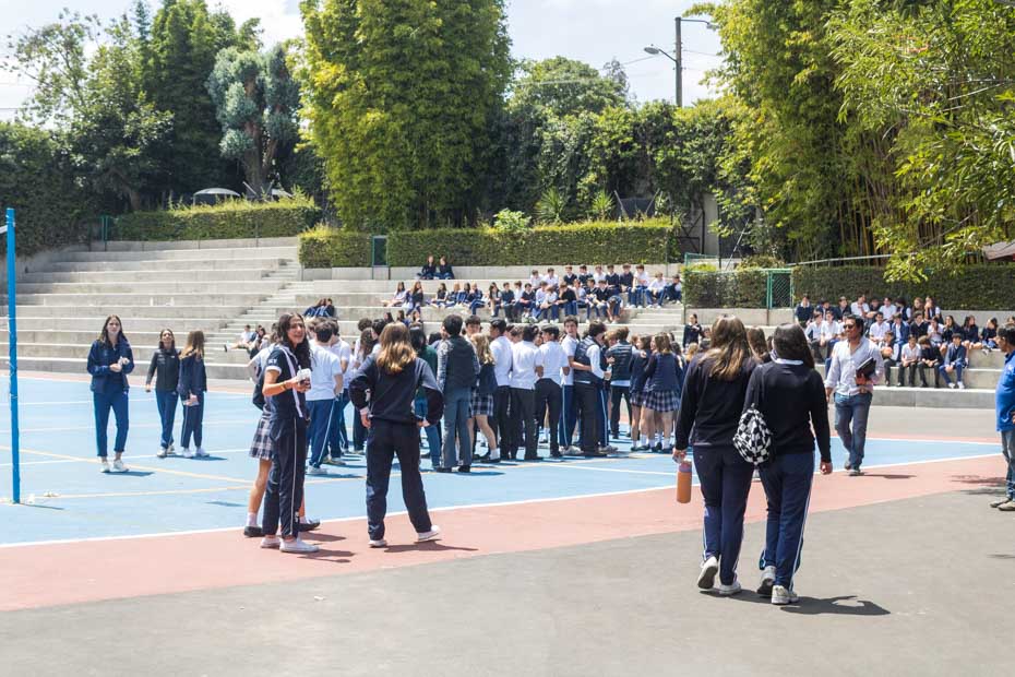 Ir a la Siguiente Foto