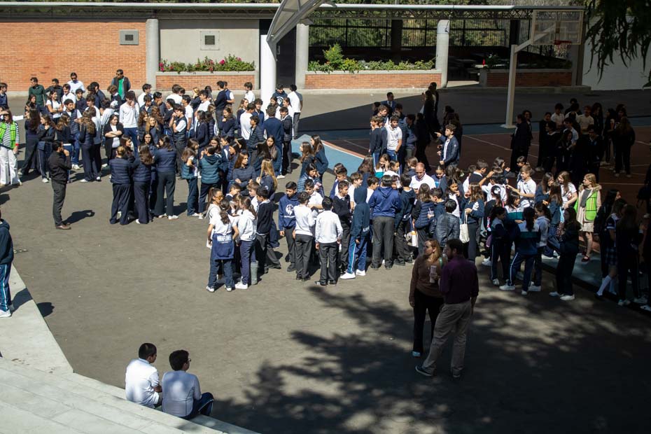 Ir a la Siguiente Foto