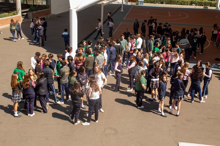Ir a la Siguiente Foto