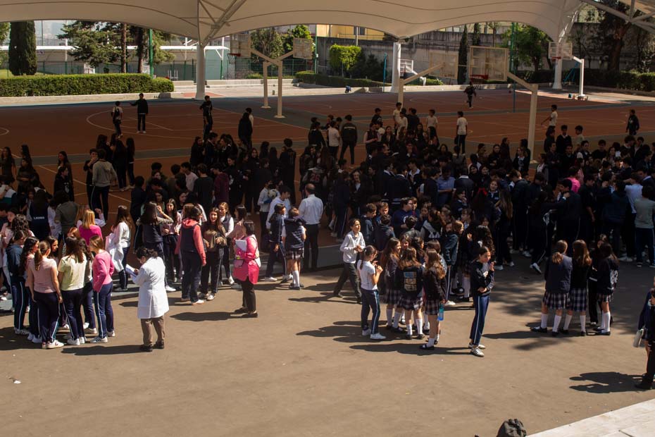 Ir a la Siguiente Foto