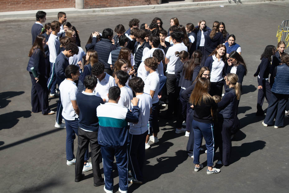 Ir a la Siguiente Foto