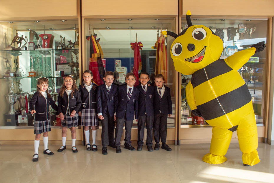 Ir a la Siguiente Foto