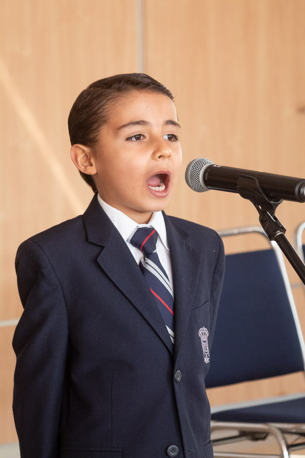 Ir a la Siguiente Foto