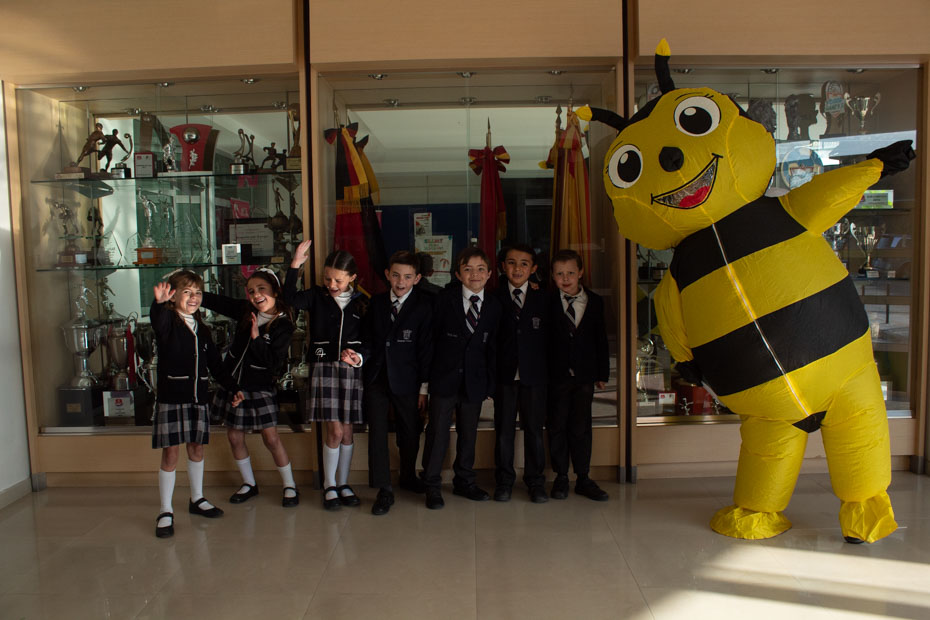 Ir a la Siguiente Foto