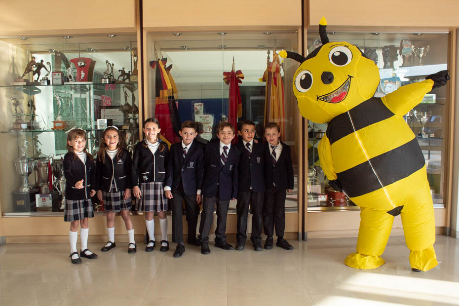 Ir a la Siguiente Foto