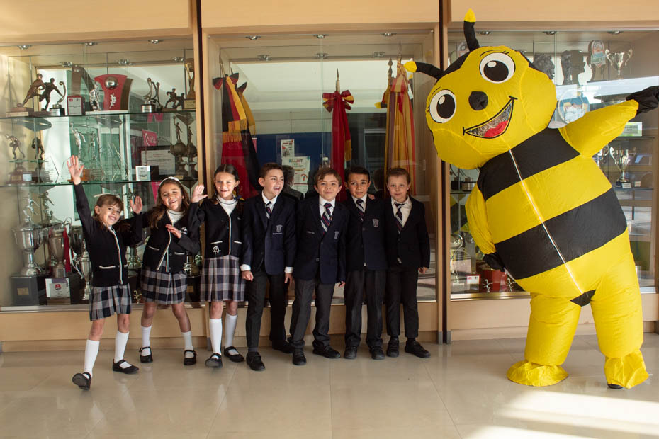 Ir a la Siguiente Foto