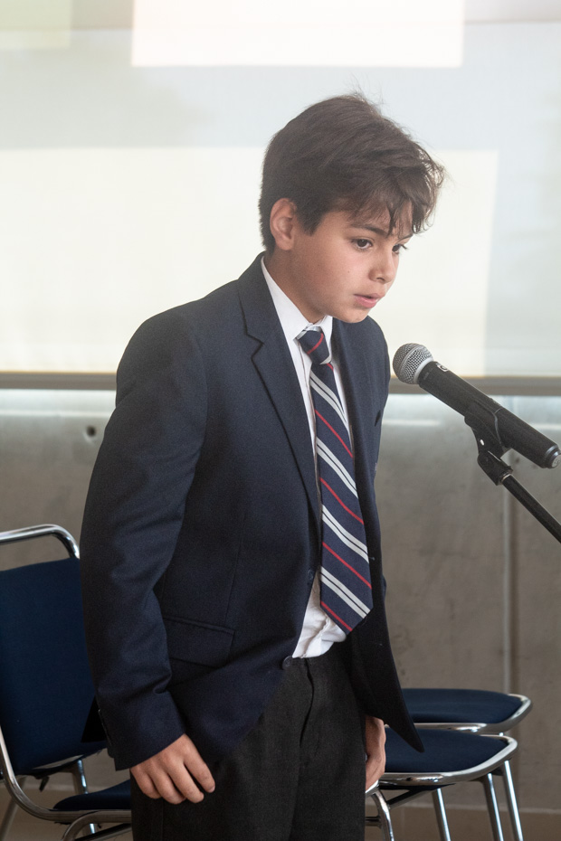 Ir a la Siguiente Foto