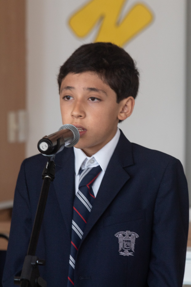 Ir a la Siguiente Foto