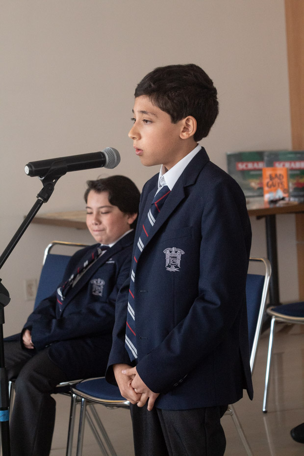 Ir a la Siguiente Foto