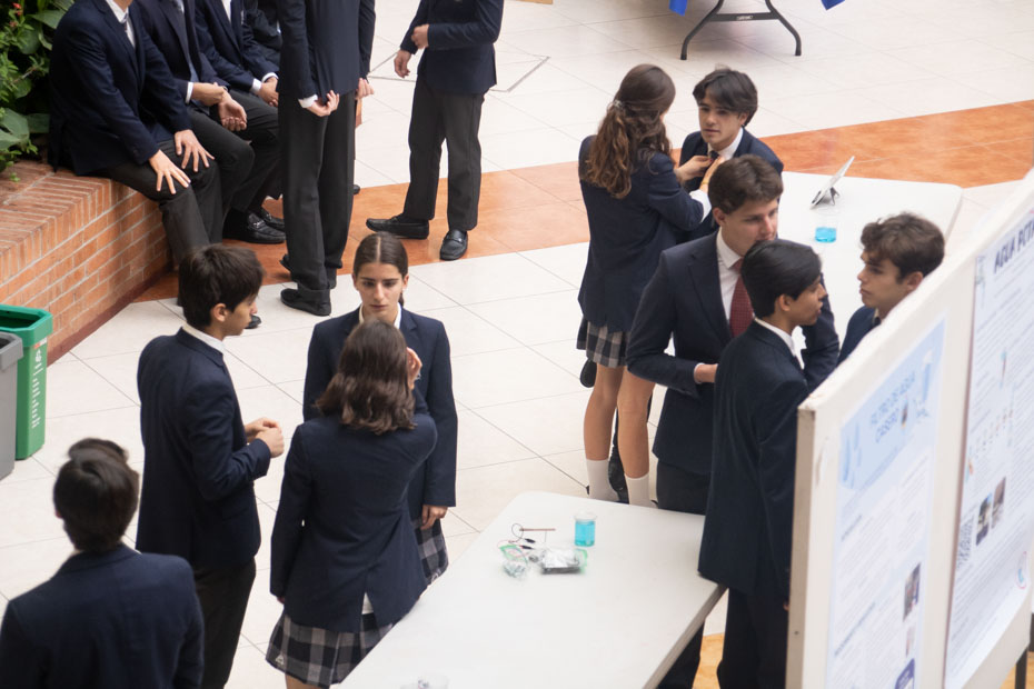 Ir a la Siguiente Foto