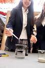 26052026stem_2026216.jpg