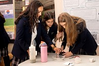 26052026stem_2026366.jpg