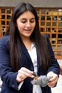 26052026stem_202667.jpg