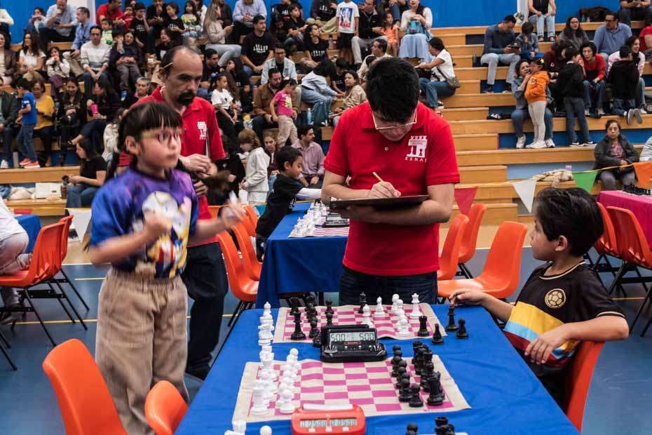 Ir a la Siguiente Foto