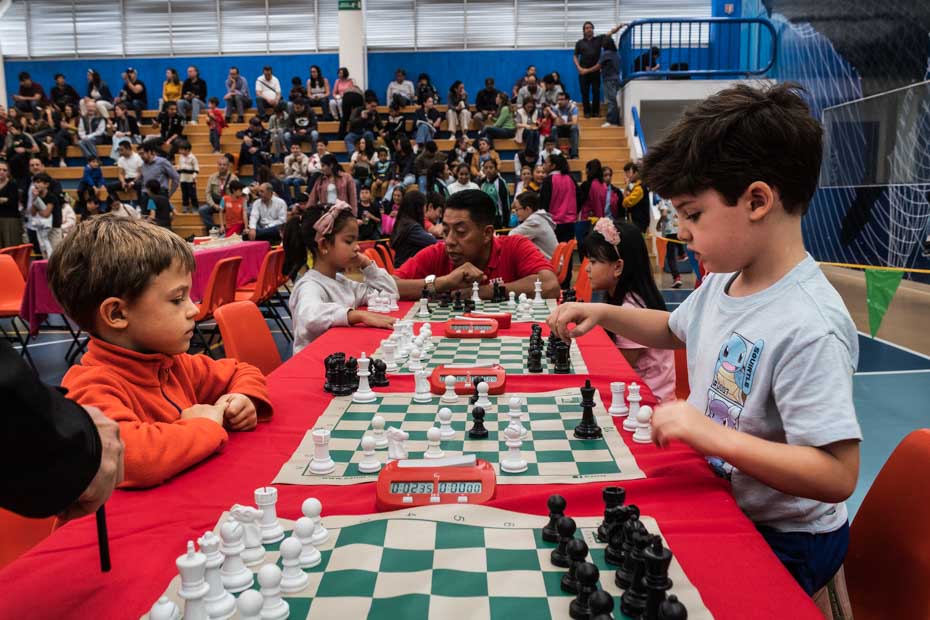 Ir a la Siguiente Foto