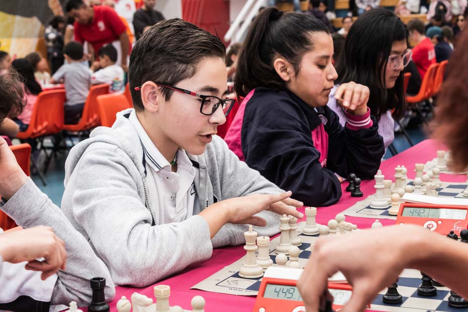 Ir a la Siguiente Foto