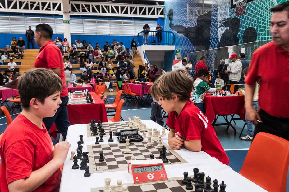 Ir a la Siguiente Foto