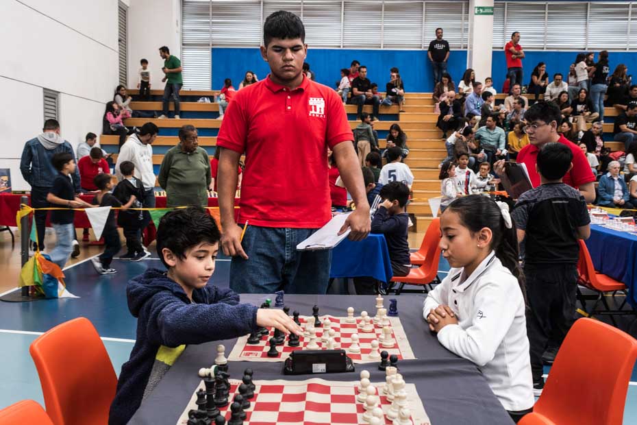 Ir a la Siguiente Foto