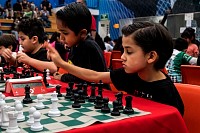 18102025torneo_ajedrez202533.jpg