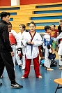 21022026torneo_tae_kwon_do2026153.jpg