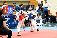21022026torneo_tae_kwon_do2026156.jpg