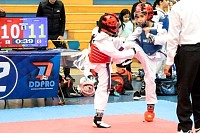 21022026torneo_tae_kwon_do2026173.jpg
