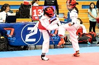 21022026torneo_tae_kwon_do2026181.jpg