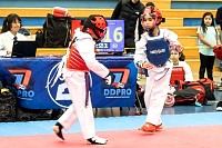 21022026torneo_tae_kwon_do2026182.jpg