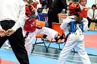 21022026torneo_tae_kwon_do2026183.jpg