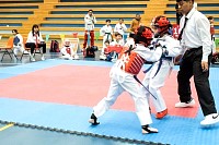 21022026torneo_tae_kwon_do2026216.jpg