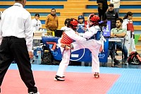 21022026torneo_tae_kwon_do2026219.jpg