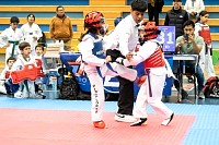 21022026torneo_tae_kwon_do2026226.jpg