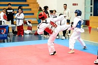 21022026torneo_tae_kwon_do2026229.jpg